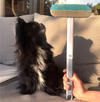 FUR BUSTER™ – DEN ULTIMATIVE PELSFJERNER
